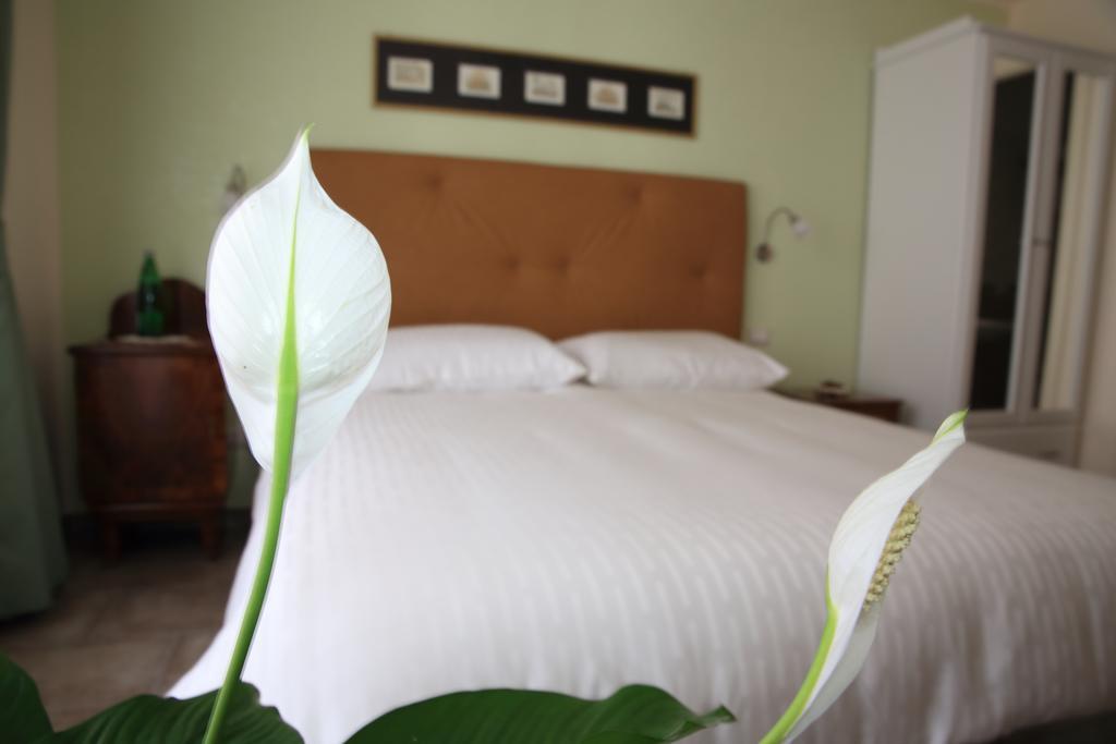 רומא Anice Guesthouse מראה חיצוני תמונה